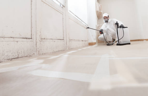 24/7 Emergency Black Mold Remediation experts in Columbia, IL